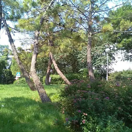 Appartement Rozata *